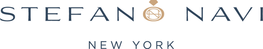 Stefano Navi logo